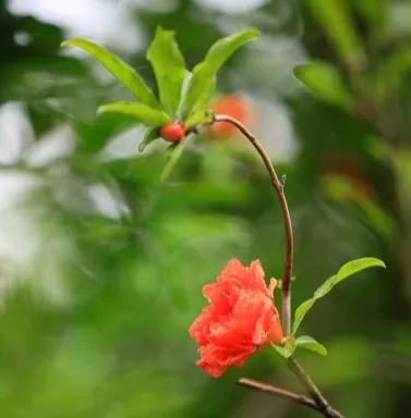 这里的风景如画，让人流连忘返，沉醉其中，仿佛置身于一个美丽的梦境。（图片来源：网络）