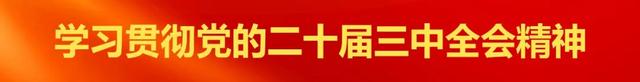 武林镇食用菌与广地龙种养殖项目一期开工建设